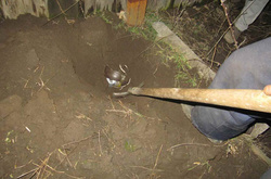 На Донеччині чоловік закопав на городі бойові гранати