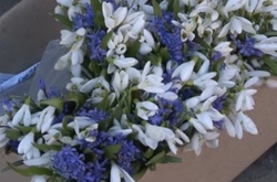 Торговців пролісками будуть виловлювати на вулицях Києва