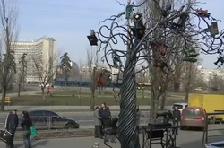 Триметрове залізне дерево зі швацькими машинками з'явилося в столиці