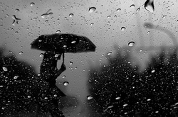 У середу в Україні дощі і мокрий сніг