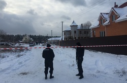 Стрілянина у Княжичах: Луценко розповів про покарання для керівництва операції 