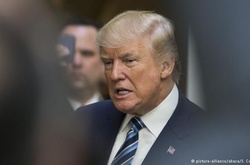 Американські ЗМІ оприлюднили декларацію Трампа: Білий дім обурений