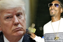 Обиделся: Дональд Трамп хочет посадить Снуп Догга в тюрьму