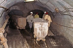 Фото з відкритих джерел