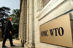 СОТ прийме рішення за позовом України до Росії не раніше наступної весни 