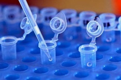 Ліки від раку