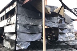 На Закарпатті вщент згорів деревообробний цех