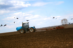 Аграрії почали посівну у стресових умовах - Скоцик