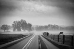 Двухцветный мир. Чёрно-белые фото, достойные восхищения и подражания