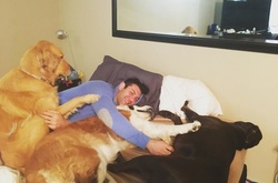 Собачья жизнь: мужчина забирает животных из приюта и дает им новую жизнь