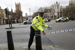 Автомобілі стали улюбленим знаряддям терористів – The Wall Street Journal