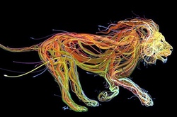 Потрясающие иллюстрации животных и людей, сделанные из сотен проводов