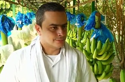 Колумбийские бананы: подмоченная репутация