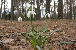 У суботу значно похолодає