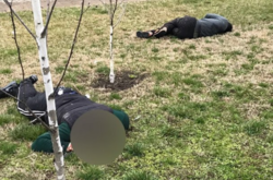 «Ісламська держава» взяла нас себе відповідальні за вбивство шести бійців Росгвардії в Чечні