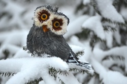 Сьогодні в Києві очікується мінлива хмарність