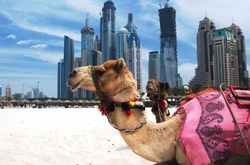 Рабство, запреты и смерть: 15 печальных фактов о Дубае