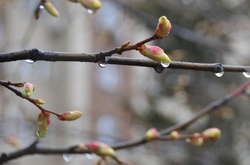 У вівторок прийде невелике потепління
