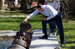 Кличко: У Києві побудують сучасний Центр захисту тварин