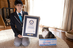 Милый кот из Японии попал в Книгу рекордов Гиннесса