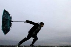 У Києві оголошено штормове попередження