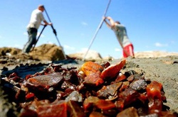 Підпільний видобуток бурштину «кришують» певні кримінальні кола з 1990-х, - нардеп