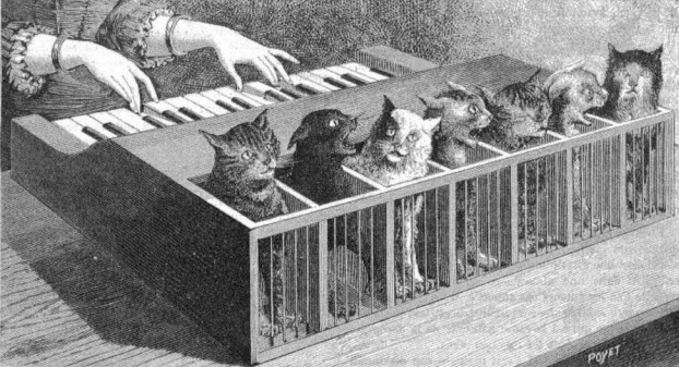 «Кошачье фортепьяно»: короткометражка по мотивам истории о несчастных кошках