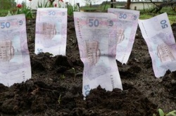 Прокуратура підозрює службовця академії наук у дерибані землі на 21 млн