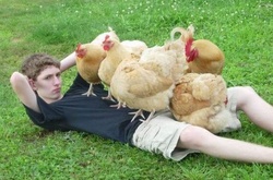 Фотографии пользователей соцсетей, пугающие своей оригинальностью