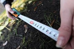 Кабмін планує презентувати модель обігу земель уже найближчим часом