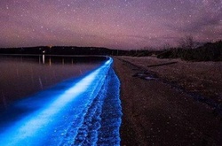 Волшебница-природа: мистическое свечение у берегов Тасмании очаровывает туристов 