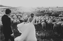 8 свадебных фотографий, от которых захватывает дух