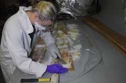 В Австралії вилучили рекордну партію метамфетаміну вартістю 680 млн доларів