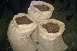 Вилучений бурштин