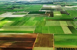 Як безкоштовно отримати землю: перелік документів