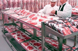 Експорт харчової продукції