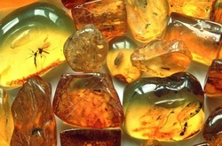 Держгеонадра назвали легальних розробників бурштину в Україні