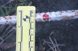 У Києві троє чоловіків побили і пограбували хлопця біля магазину