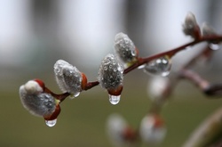 Дощова погода&nbsp;