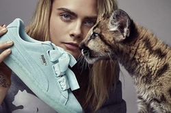 Кара Дельвинь снялась в рекламе с настоящей пумой