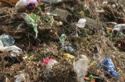 В КМДА пропонують вивозити сміття в Чорнобиль
