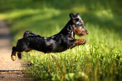  Фото: Надежда Иванова 