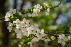 У вівторок в Україну повернеться тепло