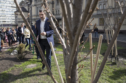 Як Кличко подався в садівники