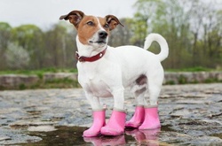 У п’ятницю в Україні також буде холодно 