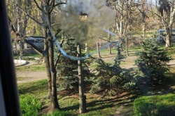  Лікарі виявили прострелені вікна з пневматичної зброї в декількох приміщеннях. 