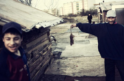 Без наркотиков и воровства: польский фотограф показал жизнь цыганского табора