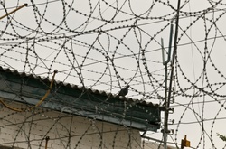 Лутковська назвала кількість росіян, які утримуються під вартою в Україні