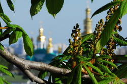  День буде прохолодним, але опади не передбачаються 