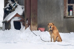 У Білорусі на Великдень випав сніг